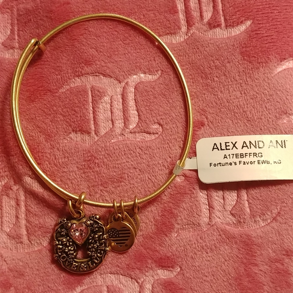 NWT Alex and Ani Love & Luck Bracelet